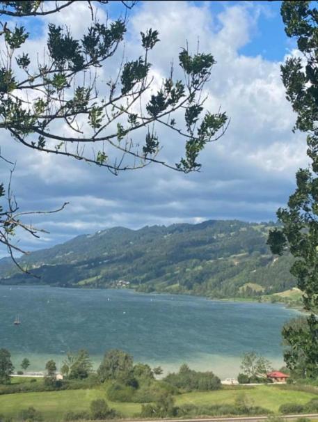 Fewo Alpenwiese Mit Hallenbad&Sauna Миссен-Вильхамс Экстерьер фото