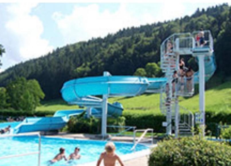 Fewo Alpenwiese Mit Hallenbad&Sauna Миссен-Вильхамс Экстерьер фото