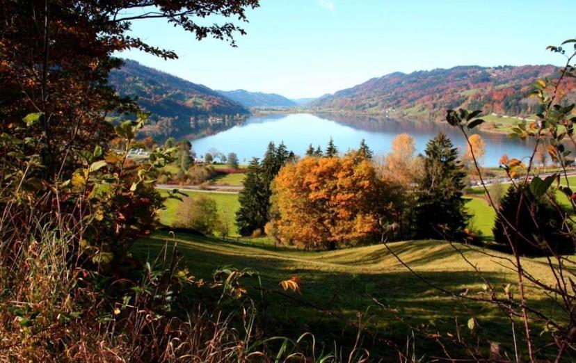 Fewo Alpenwiese Mit Hallenbad&Sauna Миссен-Вильхамс Экстерьер фото
